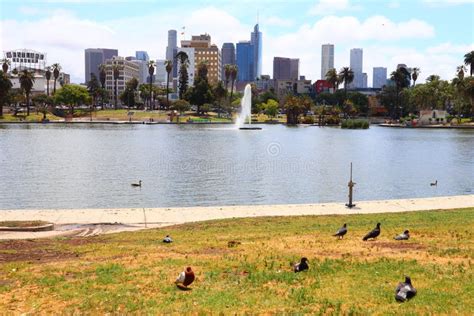 View Of Macarthur Park Located In The Westlake Neighborhood Of Los