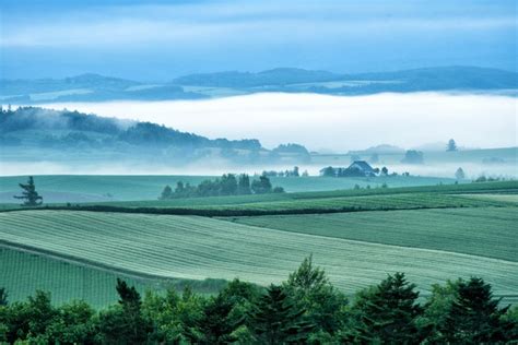 朝霧から顔を出す美瑛町の広大な畑の無料写真素材 Id26053｜ぱくたそ
