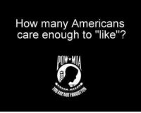 How Many Americans Care Enough To Like America S Freedom Fighters Meme On ME ME