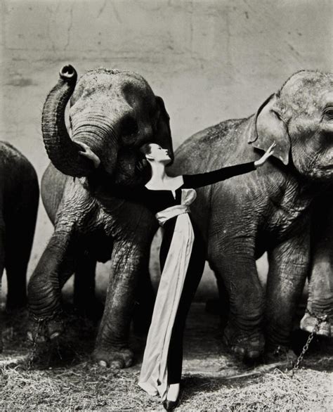 Richard Avedon Dovima With Elephants Evening Dress By Dior Cirque