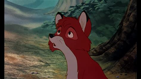 The Bear © The Fox And The Hound