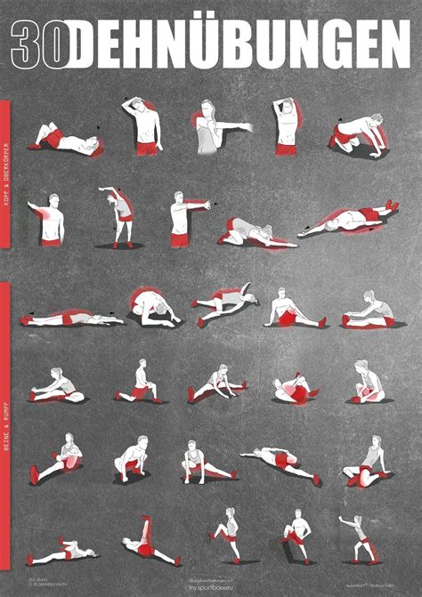 Stretching Poster DIN A Dehnübungen Dehnen Dehnen übungen