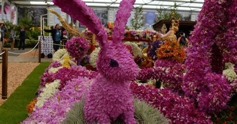 The Chelsea Flower Show Best Moments In History