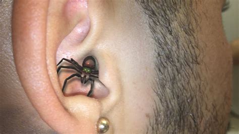 Spider In Ear Youtube