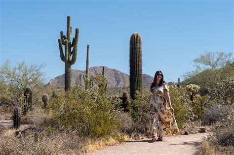 Why Summer Might Be The Best Time To Visit Scottsdale Arizona