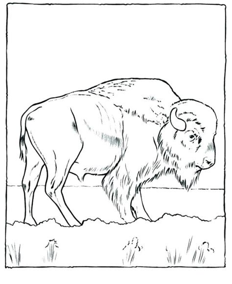 California Gold Rush Coloring Pages at GetColorings.com | Free