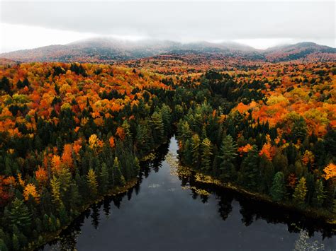 Fall foliage in the Adirondack Mountains | Andrew Tyler - @ajtyler 