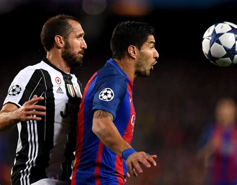 Кьеллини джорджио (giorgio chiellini) футбол защитник италия 14.08.1984. Luis Suarez: Barcelona star consoled by Giorgio Chiellini ...
