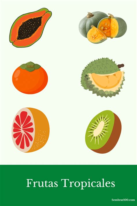 🥭 Las 30 Frutas Tropicales Y Exóticas Más Sorprendentes