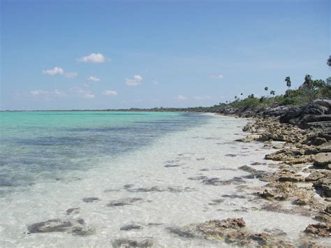 Trips Flies And Fish Great Inagua Bahamas 2012
