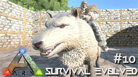 Ark Survival Evolved Dire Wolf Taming Lvl 120 And New Biomes Update