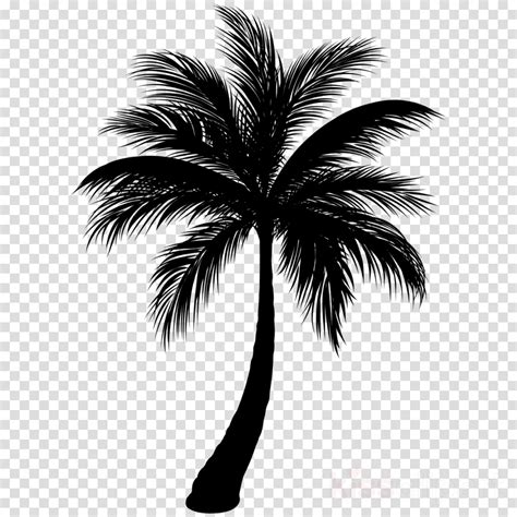 Transparent Palm Tree Silhouette Clip Art