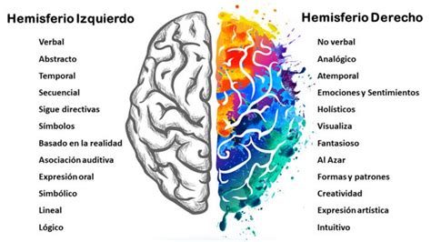 Hemisferios cerebrales neuronas espejo y empatía Hemisferio derecho