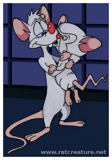 #drawing#howtodraw#watercolorpaintinghow to draw pinky and brain drawing | easy drawing. Illustration for Best Laid Plans - ratcreature - Pinky and ...