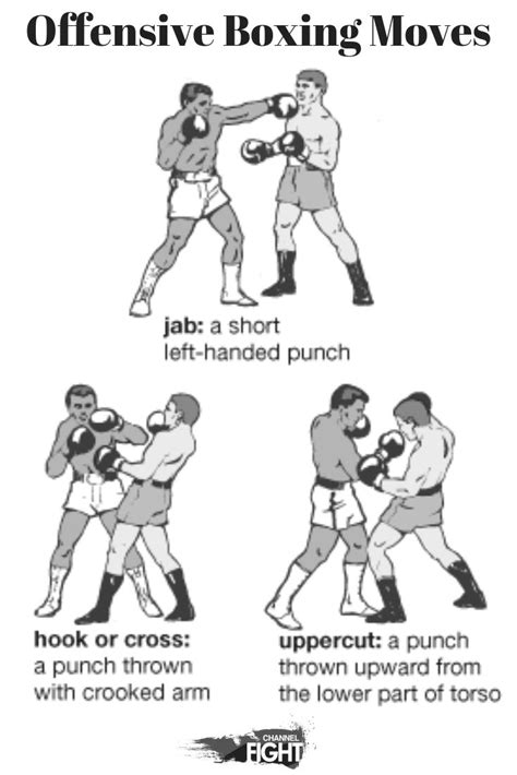 Offensive Boxing Moves Jab Hook Uppercut Martial Arts Workout