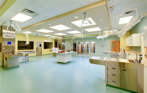 Bda Architecture Veterinary Hospitals