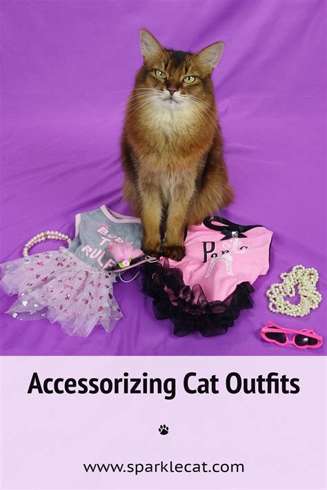 Accessorizing My Cat Fashion Cat Clothes Cats Cat Fashion