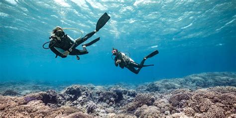 Plongée sous marine Site Corporate de Tahiti Tourisme