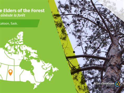 Forests Climate Atlas Of Canada