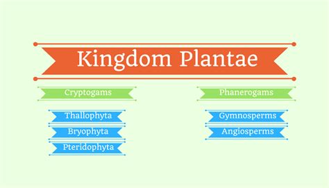 Kingdom Plantae Plant Kingdom Botany Today