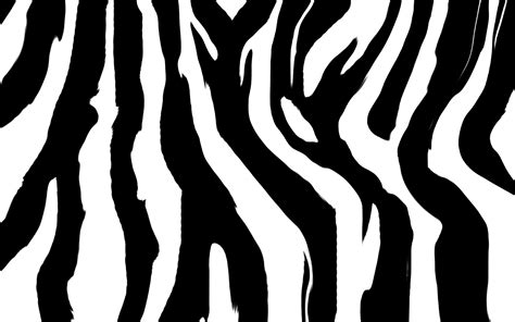 Zebra Print Png Transparent Images Pictures Photos Png Arts