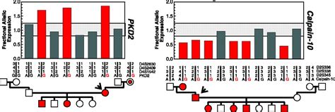 Allelic Variation In Human Gene Expression Science