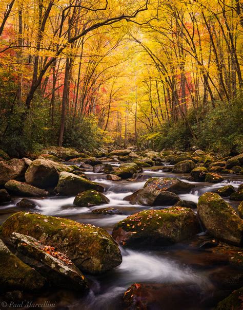 Under The Fall Cathedral Great Smoky Mountains National
