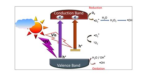 New Insights Into The Mechanism Of Visible Light Photocatalysis The