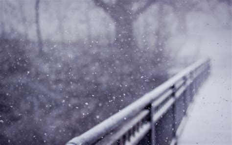 Snow Winter Blur Fence Hd Wallpaper Nature And Landscape Wallpaper