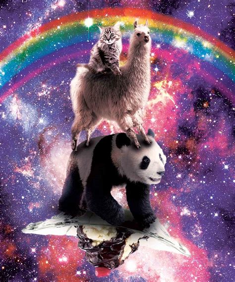 Space Cat Llama Panda Riding Sundae Digital Art By Random Galaxy Fine