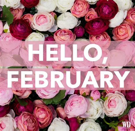 Hello February February Images February Wallpaper Hello February Quotes