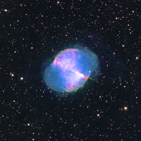 Dumbbell Nebula Telescope Live