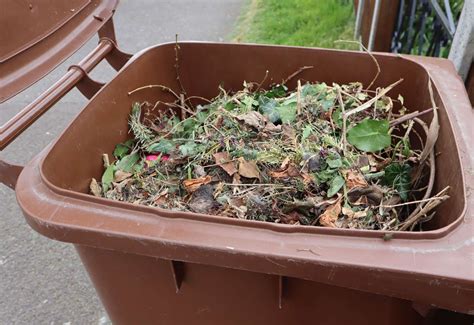 How to burn garden waste. Garden waste collections to resume in Tonbridge and ...