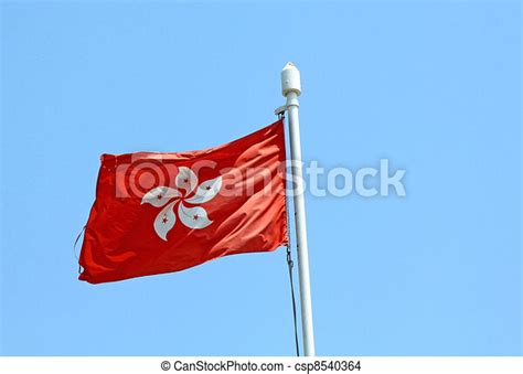 Hong Kong Sar Flag Canstock