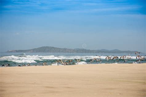 Praia De Itapiruba Imbituba Santa Catarina Brasil Stock Afbeelding Image Of Landschap Heet