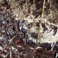 Discover (and save!) your own pins on pinterest. 日航ジャンボ機の御巣鷹山墜落事故現場（群馬県上野村）[時 ...
