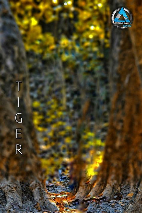 Related image | Dslr background images, Blur image background