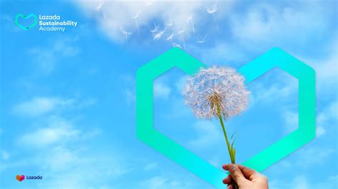 Lazada Unveils Sustainability Education Program for Sellers - LazBeat