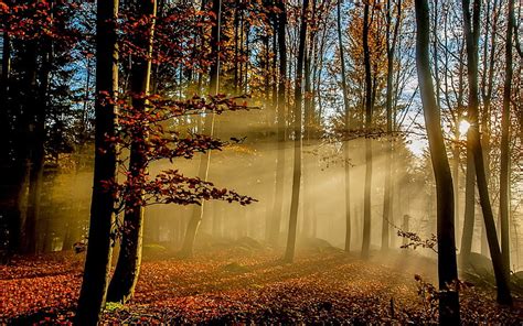 1600x1200px Free Download Hd Wallpaper Nature Landscape Sun Rays
