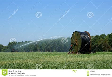 Spraying Grain Stock Image Image Of Irrigate Plant 19766495