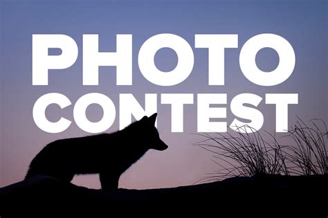 Check out our photography logo selection for the very best in unique or custom, handmade pieces from our graphic design shops. 2018-2019 Photo Contest | Pennsylvania Trappers Association