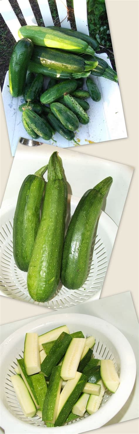 Maybe you would like to learn more about one of these? Stuff by Cher: Zucchini Pickles