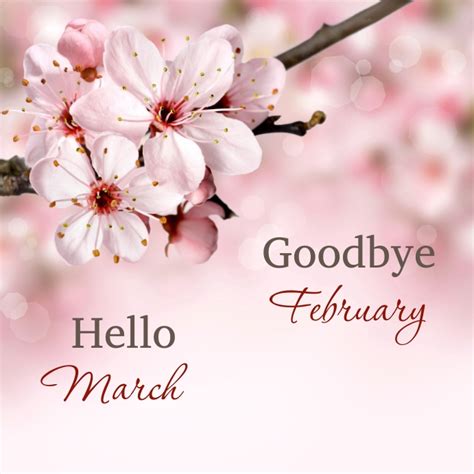 Goodbye February Hello March Welcome March Template Postermywall