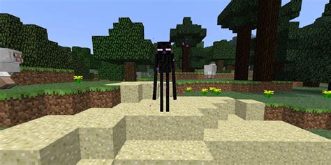 Minecraft Player Discovers Huge Group Of Endermen In Strange Place