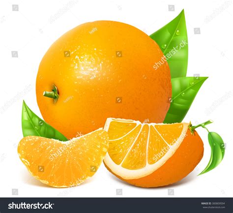 Free Photo Ripe Oranges Yellow Skin Orange Free Download Jooinn