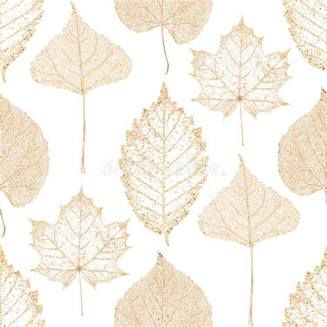 Gold Leaves Pattern Stock Illustrations 48161 Gold Leaves Pattern