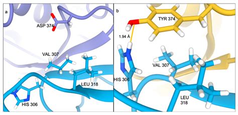 IJMS | Free Full-Text | In Silico Insights into Protein–Protein
