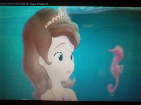 Whatsoever Critic Sofia The First The Floating Palace TV Movie Review