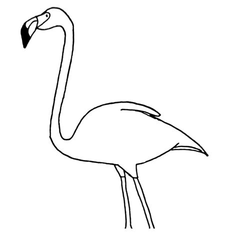 How To Draw A Flamingo Easy Tutorial For Beginners Bujo Babe