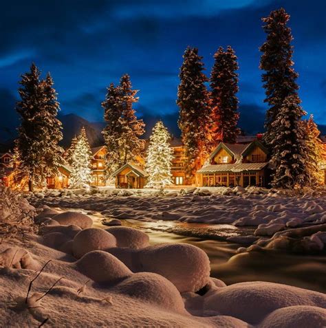 🇨🇦 Trees Decorated At The Hamlet Of Lake Louise Banff Alberta By